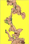 Body Parts