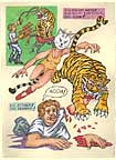 The Tiger Attacked the Trainer!