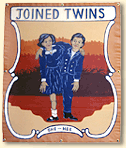 Joined Twins Banner